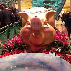 Meet your Posher, Fabiola